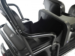 Электротрицикл Wanshida NIPLA 570 60V 1000Вт