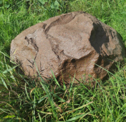 35154159.jpg