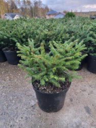 6796160580